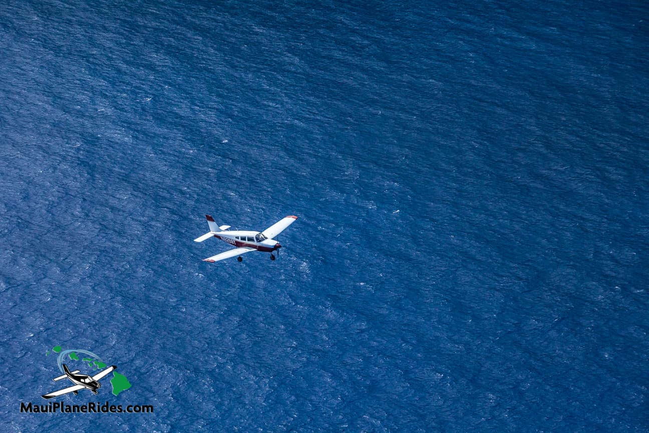Whale watching air tour over Maui