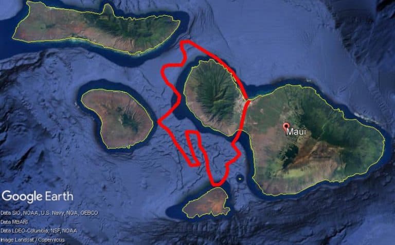 Whale watching flight route map